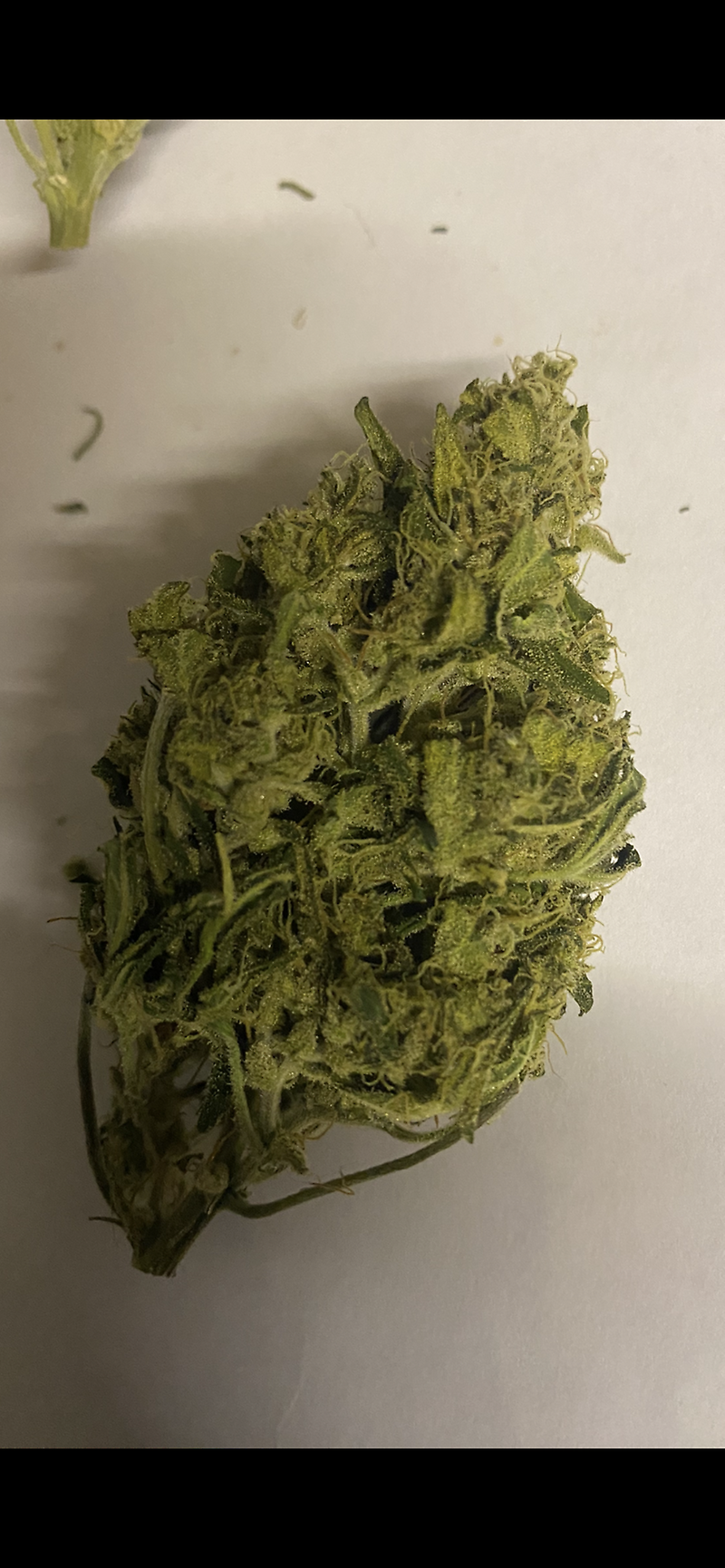 Grade B Super Lemon Haze