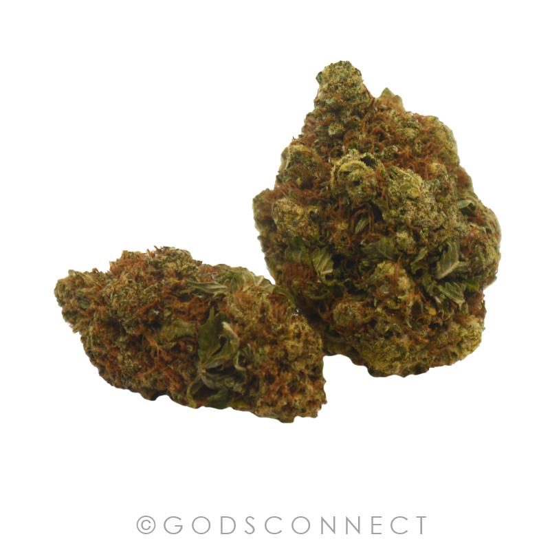 Canada-'Gaddafi OG' -Blackberry Kush X Emerald Headband