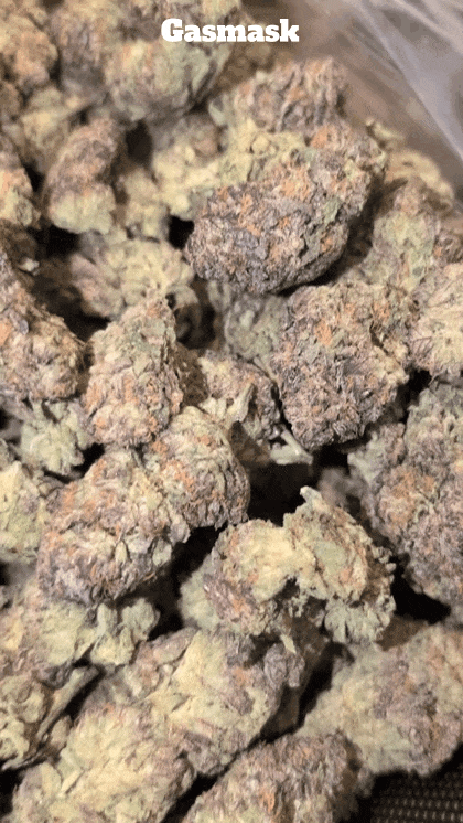 Cali Mids - Loose Import 🇺🇸