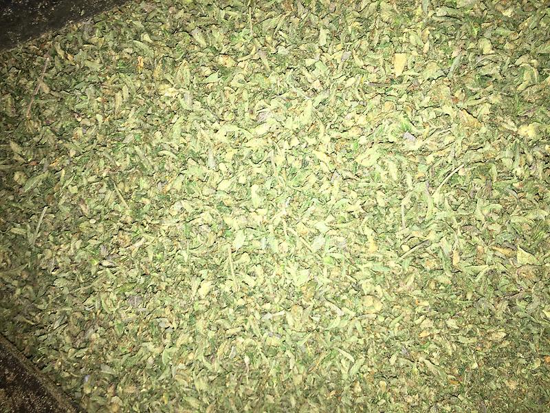 KUSHBERRY SHAKE AKA BERRY KUSH - PREMIUM QUALITY