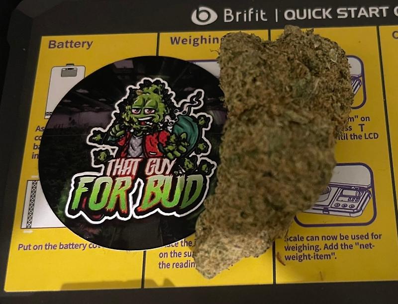 Blueberry Muffin - UK to UK - Thailand Import