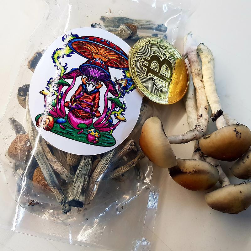 Koh Samui Magic Mushrooms