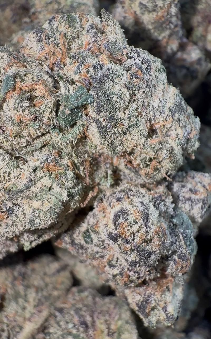 FRESH CANDYS -  LCG BX1