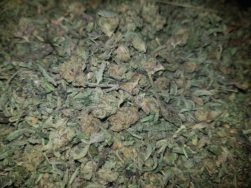 ***OG KUSH BUDSHAKE***