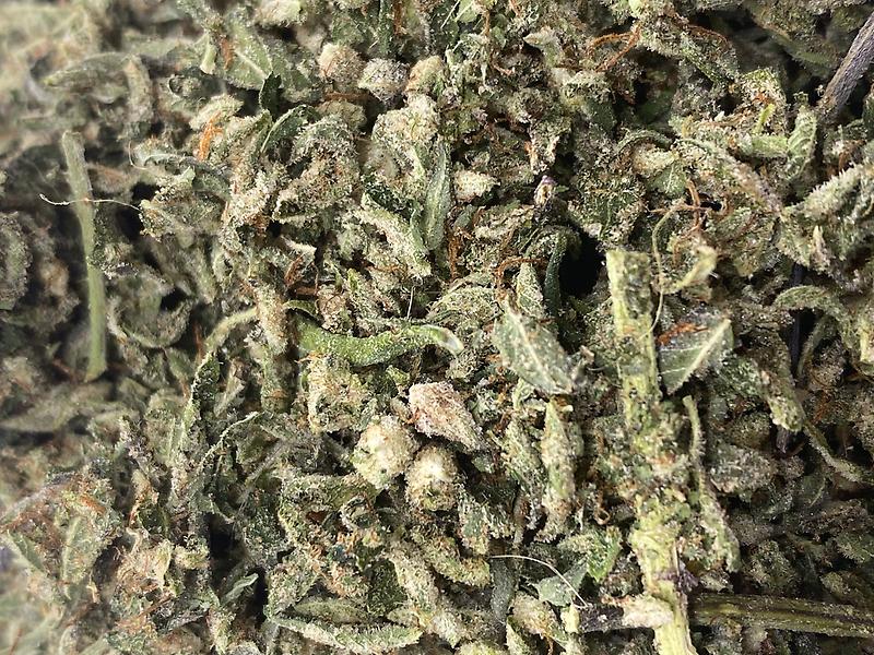 Exodus Cheese Shake - Utmost Dank - Preroll Quality