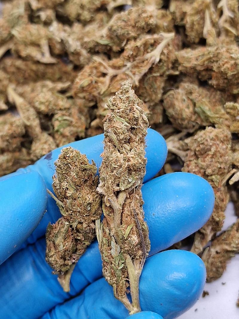 Platinum Kush - Bone Dry Pure Jamaican Sensi