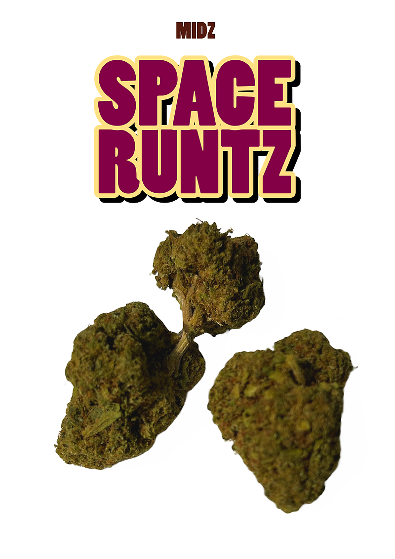 SPACE RUNTZ