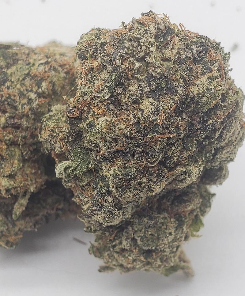 GREASY PINK (INDICA)