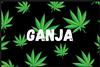 ganja