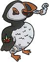 PuffPuffin