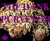 DankPurveyor