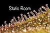 StaticRoom