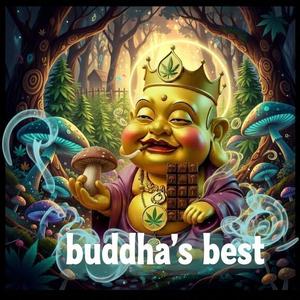 BUDDHAS BEST