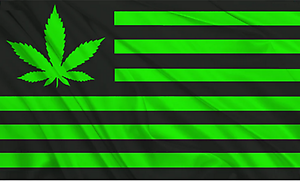 green usa