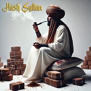 Hash Sultan