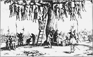 The Men Who Brought You