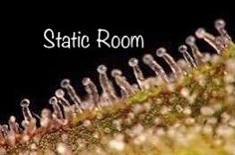 StaticRoom
