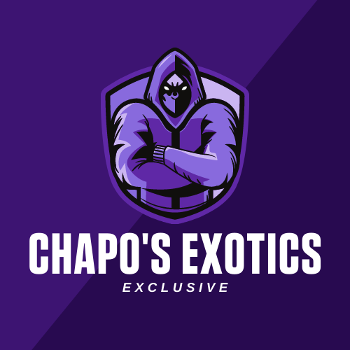 ChaposExotics