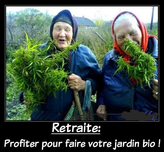 [acheter du cannabis en ligne]