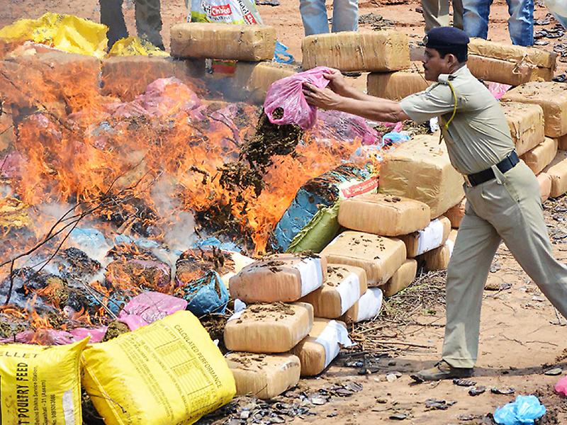 [cannabis markets india]