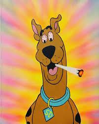 durbanpoisoninmyface