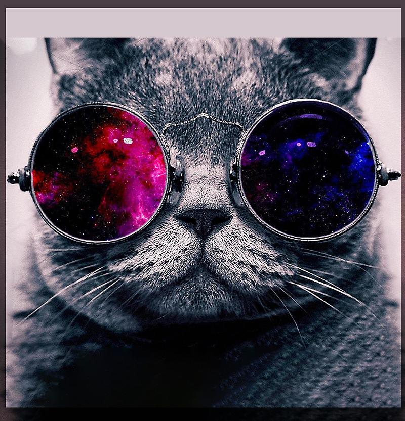 trippycat